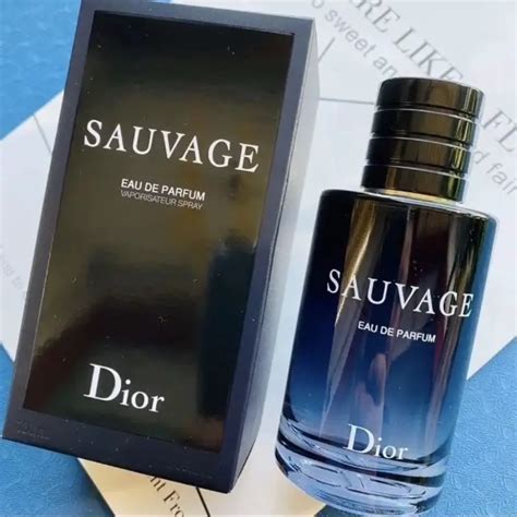 savege dior|what does dior sauvage smell like.